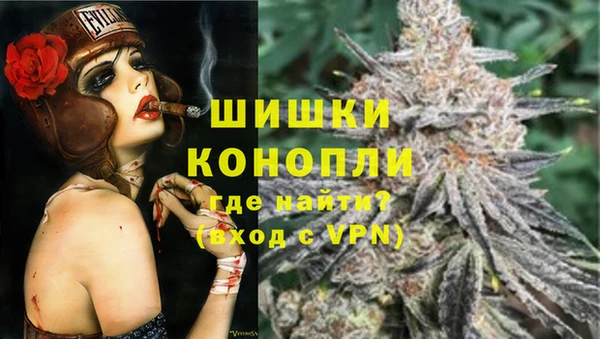 шишки Новокубанск