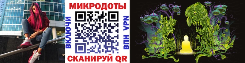 Псилоцибиновые грибы Psilocybe  купить наркотики сайты  Пикалёво 